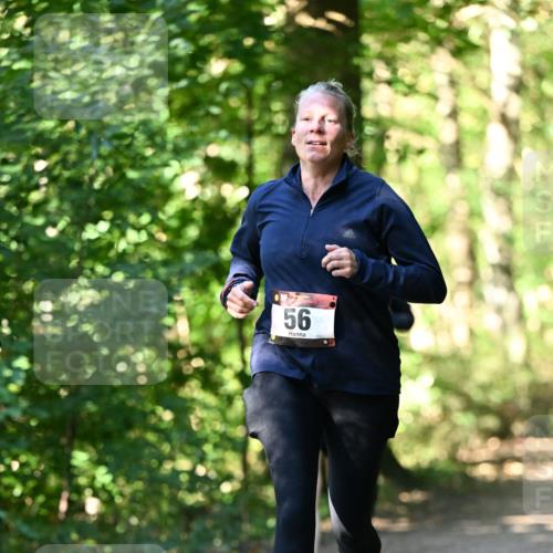 06.10.2024 - Bramfelder Halbmarathon 2024 Dr. Thomas Lammeyer http://msf.ph/oto/7339073 06.10.2024 10:30:00 Laufen 56 meine-sportfotos.de