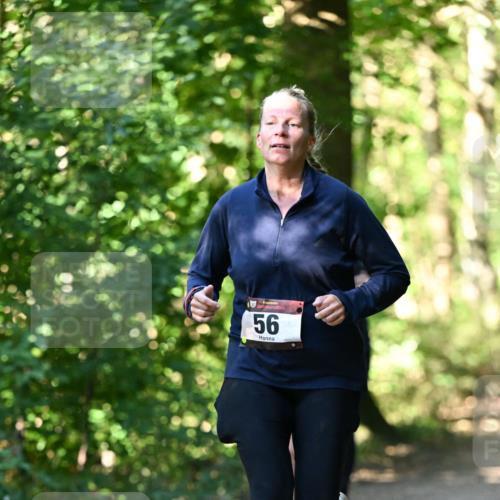 06.10.2024 - Bramfelder Halbmarathon 2024 Dr. Thomas Lammeyer http://msf.ph/oto/7339074 06.10.2024 10:30:00 Laufen 56 meine-sportfotos.de