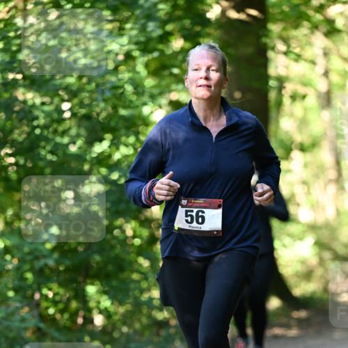 06.10.2024 - Bramfelder Halbmarathon 2024 Dr. Thomas Lammeyer http://msf.ph/oto/7339075 06.10.2024 10:30:01 Laufen 33, 56 meine-sportfotos.de