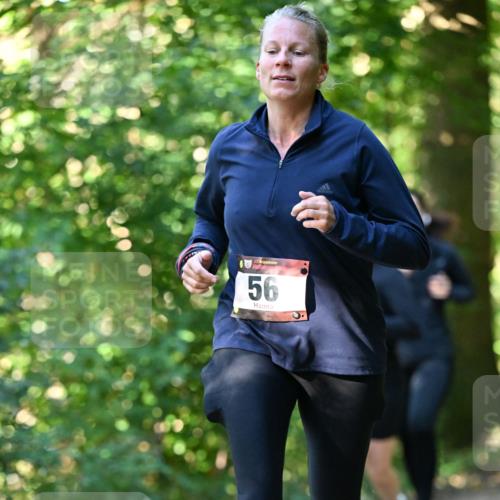 06.10.2024 - Bramfelder Halbmarathon 2024 Dr. Thomas Lammeyer http://msf.ph/oto/7339078 06.10.2024 10:30:01 Laufen 33, 56 meine-sportfotos.de