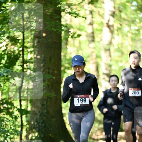 06.10.2024 - Bramfelder Halbmarathon 2024 Dr. Thomas Lammeyer http://msf.ph/oto/7339082 06.10.2024 10:30:09 Laufen 184, 199, 200 meine-sportfotos.de