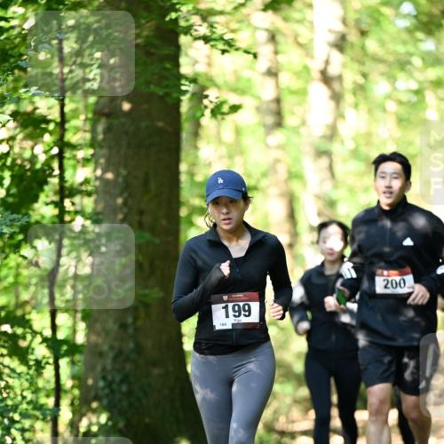 06.10.2024 - Bramfelder Halbmarathon 2024 Dr. Thomas Lammeyer http://msf.ph/oto/7339083 06.10.2024 10:30:09 Laufen 199, 184, 200 meine-sportfotos.de