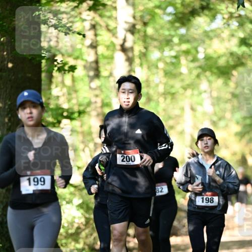 06.10.2024 - Bramfelder Halbmarathon 2024 Dr. Thomas Lammeyer http://msf.ph/oto/7339084 06.10.2024 10:30:10 Laufen 10, 199, 200, 82, 198 meine-sportfotos.de