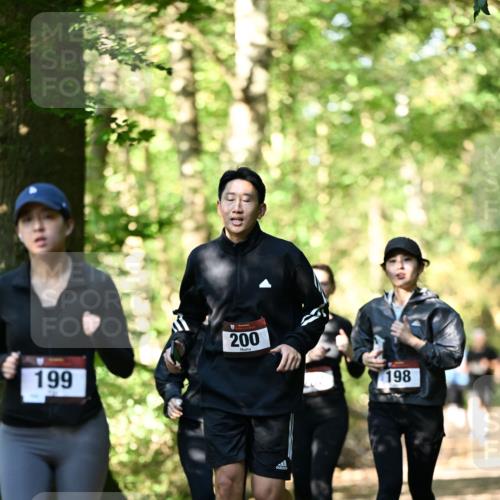 06.10.2024 - Bramfelder Halbmarathon 2024 Dr. Thomas Lammeyer http://msf.ph/oto/7339085 06.10.2024 10:30:10 Laufen 199, 200, 198 meine-sportfotos.de