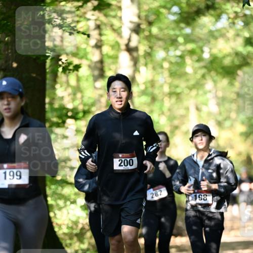 06.10.2024 - Bramfelder Halbmarathon 2024 Dr. Thomas Lammeyer http://msf.ph/oto/7339086 06.10.2024 10:30:10 Laufen 199, 200, 282, 198 meine-sportfotos.de