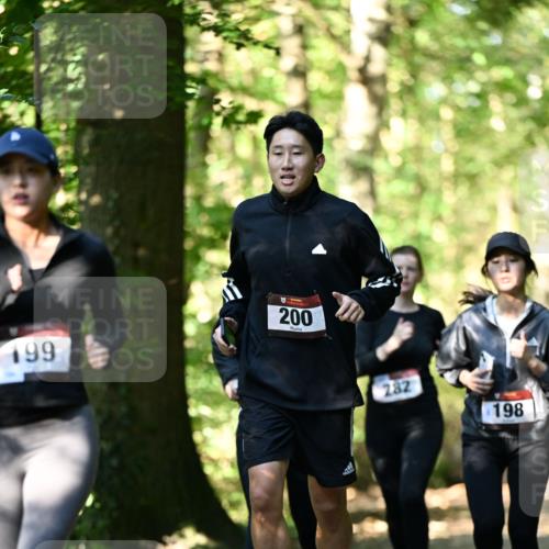 06.10.2024 - Bramfelder Halbmarathon 2024 Dr. Thomas Lammeyer http://msf.ph/oto/7339089 06.10.2024 10:30:11 Laufen 199, 200, 282, 198 meine-sportfotos.de