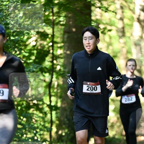 06.10.2024 - Bramfelder Halbmarathon 2024 Dr. Thomas Lammeyer http://msf.ph/oto/7339094 06.10.2024 10:30:11 Laufen 9, 200, 282 meine-sportfotos.de