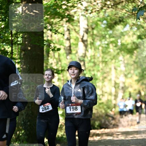 06.10.2024 - Bramfelder Halbmarathon 2024 Dr. Thomas Lammeyer http://msf.ph/oto/7339096 06.10.2024 10:30:12 Laufen 282, 198 meine-sportfotos.de