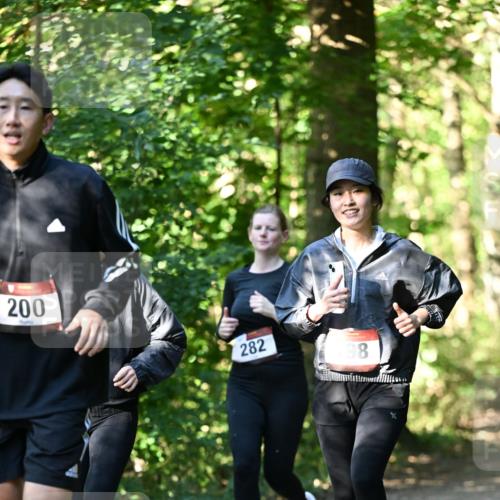 06.10.2024 - Bramfelder Halbmarathon 2024 Dr. Thomas Lammeyer http://msf.ph/oto/7339101 06.10.2024 10:30:13 Laufen 200, 282, 198 meine-sportfotos.de