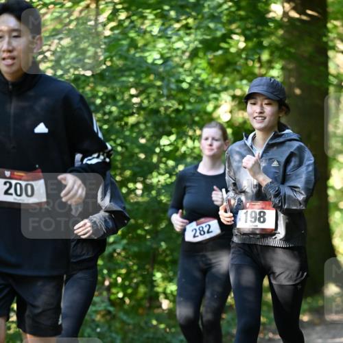 06.10.2024 - Bramfelder Halbmarathon 2024 Dr. Thomas Lammeyer http://msf.ph/oto/7339104 06.10.2024 10:30:13 Laufen 200, 282, 198 meine-sportfotos.de