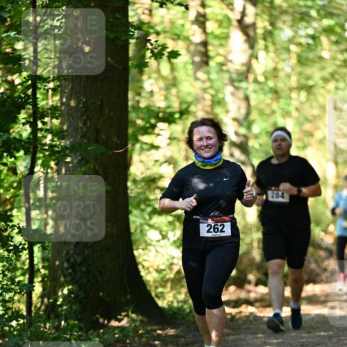 06.10.2024 - Bramfelder Halbmarathon 2024 Dr. Thomas Lammeyer http://msf.ph/oto/7339109 06.10.2024 10:30:25 Laufen 262, 284 meine-sportfotos.de