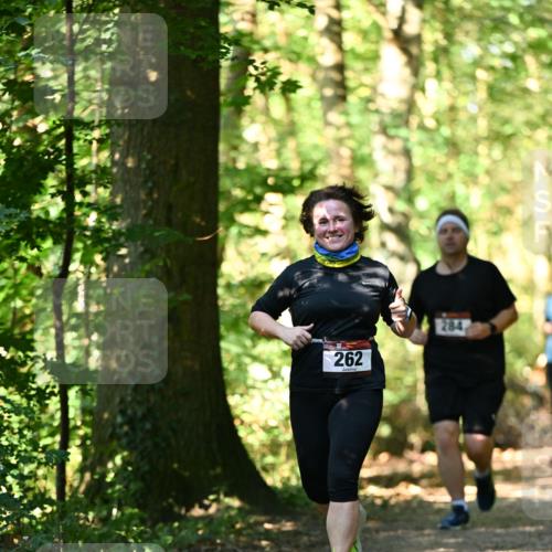 06.10.2024 - Bramfelder Halbmarathon 2024 Dr. Thomas Lammeyer http://msf.ph/oto/7339110 06.10.2024 10:30:25 Laufen 262, 284 meine-sportfotos.de