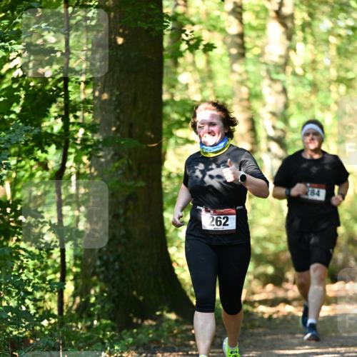 06.10.2024 - Bramfelder Halbmarathon 2024 Dr. Thomas Lammeyer http://msf.ph/oto/7339112 06.10.2024 10:30:26 Laufen 262, 284 meine-sportfotos.de