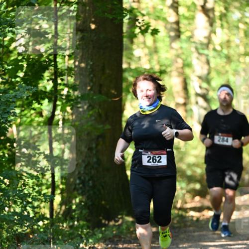 06.10.2024 - Bramfelder Halbmarathon 2024 Dr. Thomas Lammeyer http://msf.ph/oto/7339113 06.10.2024 10:30:26 Laufen 262, 284 meine-sportfotos.de