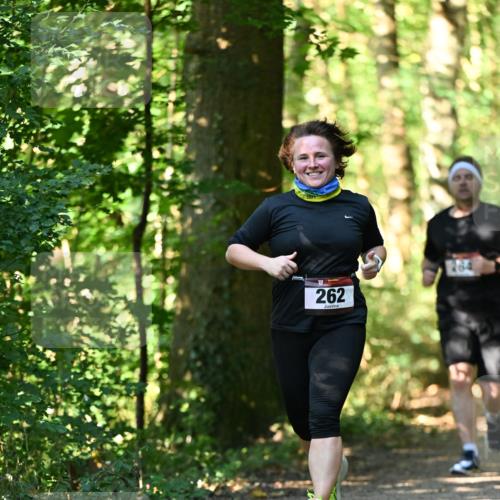 06.10.2024 - Bramfelder Halbmarathon 2024 Dr. Thomas Lammeyer http://msf.ph/oto/7339115 06.10.2024 10:30:26 Laufen 262, 264 meine-sportfotos.de