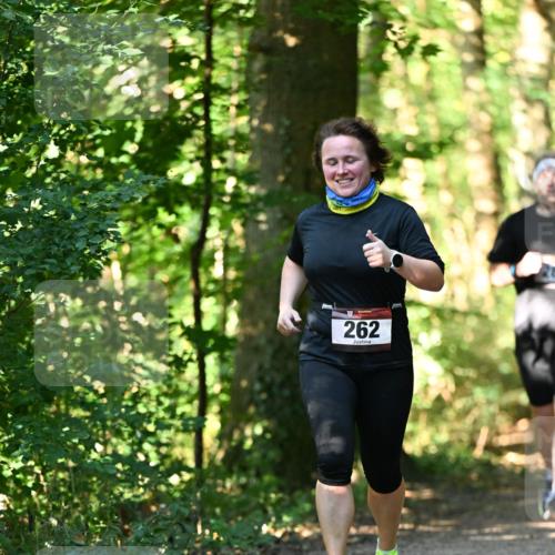 06.10.2024 - Bramfelder Halbmarathon 2024 Dr. Thomas Lammeyer http://msf.ph/oto/7339117 06.10.2024 10:30:26 Laufen 262 meine-sportfotos.de