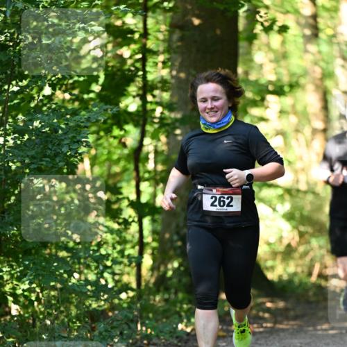 06.10.2024 - Bramfelder Halbmarathon 2024 Dr. Thomas Lammeyer http://msf.ph/oto/7339118 06.10.2024 10:30:26 Laufen 262 meine-sportfotos.de