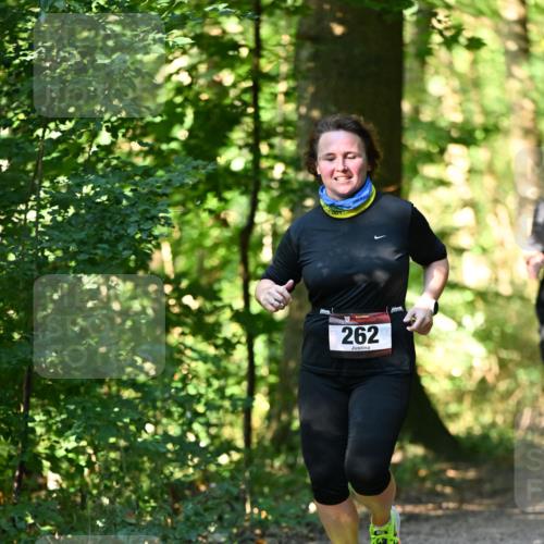 06.10.2024 - Bramfelder Halbmarathon 2024 Dr. Thomas Lammeyer http://msf.ph/oto/7339119 06.10.2024 10:30:26 Laufen 262 meine-sportfotos.de