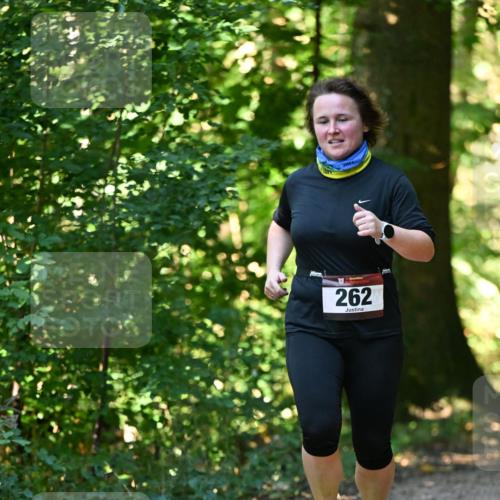 06.10.2024 - Bramfelder Halbmarathon 2024 Dr. Thomas Lammeyer http://msf.ph/oto/7339122 06.10.2024 10:30:27 Laufen 262 meine-sportfotos.de