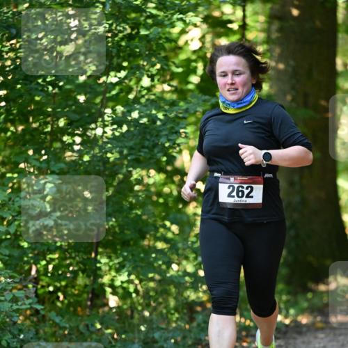 06.10.2024 - Bramfelder Halbmarathon 2024 Dr. Thomas Lammeyer http://msf.ph/oto/7339123 06.10.2024 10:30:27 Laufen 262 meine-sportfotos.de