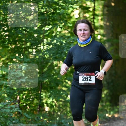 06.10.2024 - Bramfelder Halbmarathon 2024 Dr. Thomas Lammeyer http://msf.ph/oto/7339124 06.10.2024 10:30:27 Laufen 262 meine-sportfotos.de