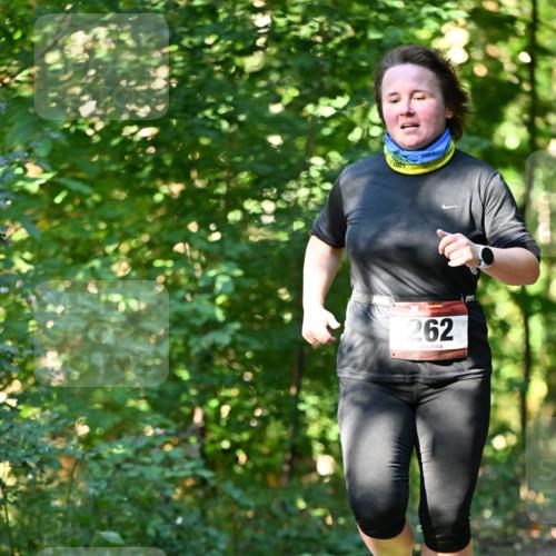 06.10.2024 - Bramfelder Halbmarathon 2024 Dr. Thomas Lammeyer http://msf.ph/oto/7339127 06.10.2024 10:30:28 Laufen 262 meine-sportfotos.de