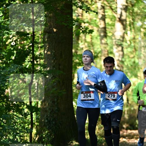 06.10.2024 - Bramfelder Halbmarathon 2024 Dr. Thomas Lammeyer http://msf.ph/oto/7339140 06.10.2024 10:30:34 Laufen 304, 279, 2 meine-sportfotos.de