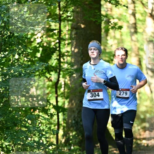 06.10.2024 - Bramfelder Halbmarathon 2024 Dr. Thomas Lammeyer http://msf.ph/oto/7339144 06.10.2024 10:30:34 Laufen 304, 279 meine-sportfotos.de