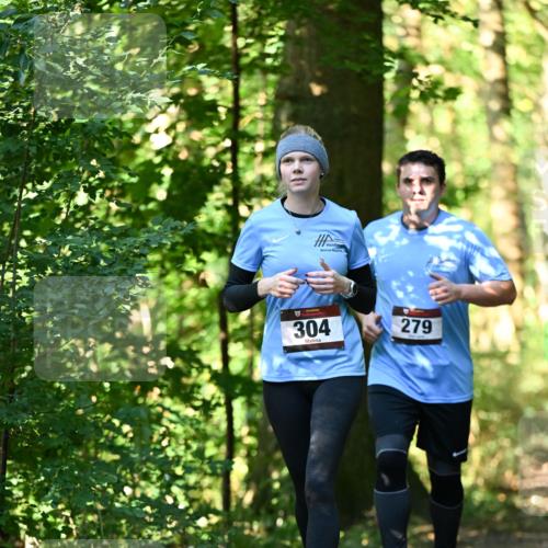 06.10.2024 - Bramfelder Halbmarathon 2024 Dr. Thomas Lammeyer http://msf.ph/oto/7339146 06.10.2024 10:30:35 Laufen 304, 279 meine-sportfotos.de