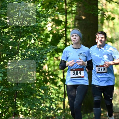 06.10.2024 - Bramfelder Halbmarathon 2024 Dr. Thomas Lammeyer http://msf.ph/oto/7339147 06.10.2024 10:30:35 Laufen 304, 279 meine-sportfotos.de
