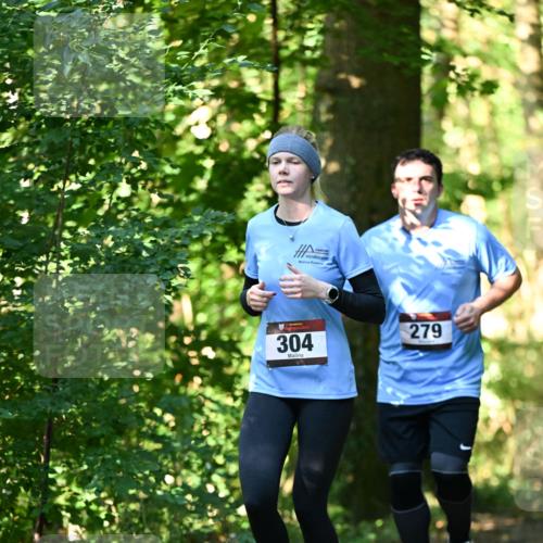 06.10.2024 - Bramfelder Halbmarathon 2024 Dr. Thomas Lammeyer http://msf.ph/oto/7339148 06.10.2024 10:30:35 Laufen 304, 279 meine-sportfotos.de