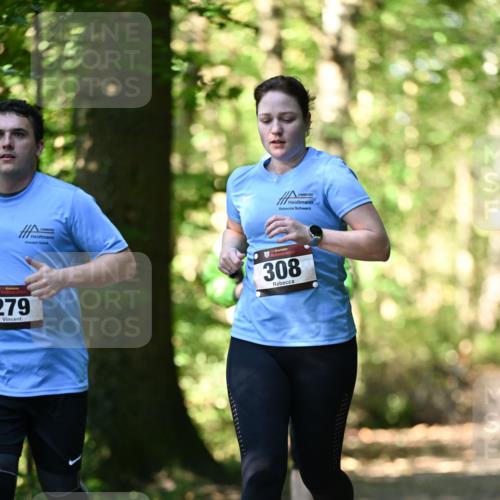06.10.2024 - Bramfelder Halbmarathon 2024 Dr. Thomas Lammeyer http://msf.ph/oto/7339150 06.10.2024 10:30:36 Laufen 279, 308 meine-sportfotos.de
