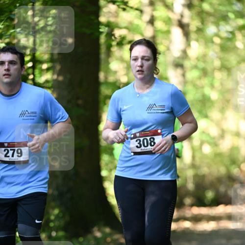 06.10.2024 - Bramfelder Halbmarathon 2024 Dr. Thomas Lammeyer http://msf.ph/oto/7339151 06.10.2024 10:30:36 Laufen 279, 33, 308 meine-sportfotos.de