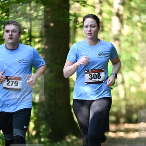 06.10.2024 - Bramfelder Halbmarathon 2024 Dr. Thomas Lammeyer http://msf.ph/oto/7339152 06.10.2024 10:30:37 Laufen 279, 308 meine-sportfotos.de