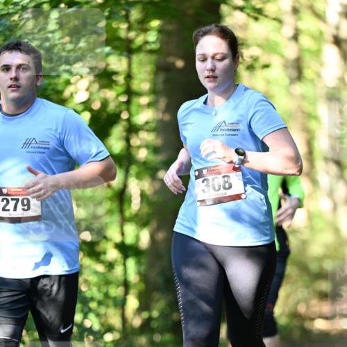 06.10.2024 - Bramfelder Halbmarathon 2024 Dr. Thomas Lammeyer http://msf.ph/oto/7339155 06.10.2024 10:30:37 Laufen 279, 308 meine-sportfotos.de