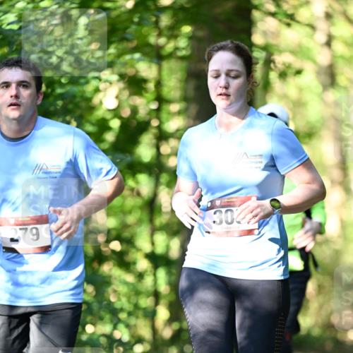 06.10.2024 - Bramfelder Halbmarathon 2024 Dr. Thomas Lammeyer http://msf.ph/oto/7339156 06.10.2024 10:30:37 Laufen 279, 302 meine-sportfotos.de