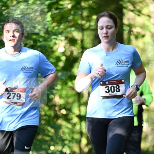 06.10.2024 - Bramfelder Halbmarathon 2024 Dr. Thomas Lammeyer http://msf.ph/oto/7339157 06.10.2024 10:30:37 Laufen 279, 33, 308 meine-sportfotos.de