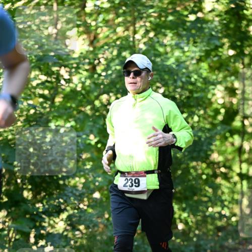 06.10.2024 - Bramfelder Halbmarathon 2024 Dr. Thomas Lammeyer http://msf.ph/oto/7339165 06.10.2024 10:30:39 Laufen 239 meine-sportfotos.de