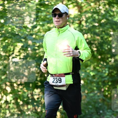 06.10.2024 - Bramfelder Halbmarathon 2024 Dr. Thomas Lammeyer http://msf.ph/oto/7339170 06.10.2024 10:30:40 Laufen 239 meine-sportfotos.de