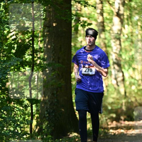 06.10.2024 - Bramfelder Halbmarathon 2024 Dr. Thomas Lammeyer http://msf.ph/oto/7339191 06.10.2024 10:30:55 Laufen 270, 153 meine-sportfotos.de