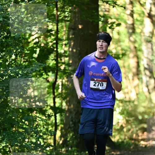 06.10.2024 - Bramfelder Halbmarathon 2024 Dr. Thomas Lammeyer http://msf.ph/oto/7339196 06.10.2024 10:30:55 Laufen 270, 153 meine-sportfotos.de