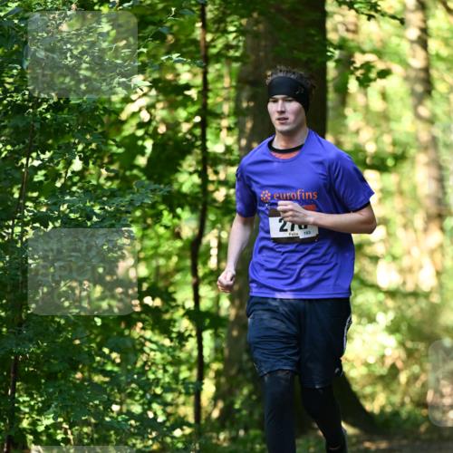 06.10.2024 - Bramfelder Halbmarathon 2024 Dr. Thomas Lammeyer http://msf.ph/oto/7339198 06.10.2024 10:30:56 Laufen 27, 153 meine-sportfotos.de