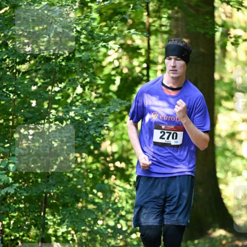 06.10.2024 - Bramfelder Halbmarathon 2024 Dr. Thomas Lammeyer http://msf.ph/oto/7339202 06.10.2024 10:30:56 Laufen 270, 153 meine-sportfotos.de