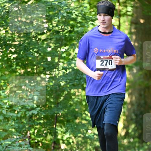 06.10.2024 - Bramfelder Halbmarathon 2024 Dr. Thomas Lammeyer http://msf.ph/oto/7339206 06.10.2024 10:30:57 Laufen 270, 153 meine-sportfotos.de