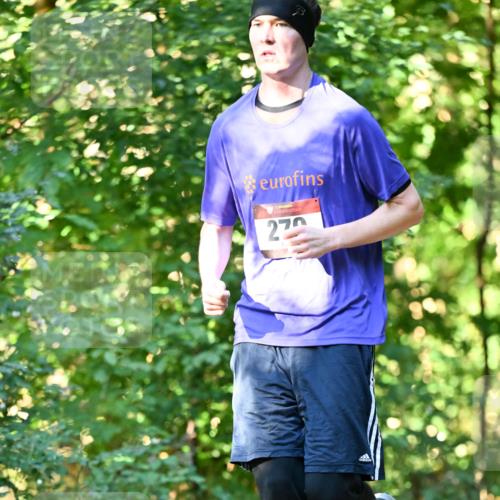 06.10.2024 - Bramfelder Halbmarathon 2024 Dr. Thomas Lammeyer http://msf.ph/oto/7339211 06.10.2024 10:30:57 Laufen 2 meine-sportfotos.de