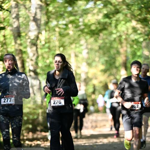 06.10.2024 - Bramfelder Halbmarathon 2024 Dr. Thomas Lammeyer http://msf.ph/oto/7339224 06.10.2024 10:31:20 Laufen 277, 276, 652 meine-sportfotos.de