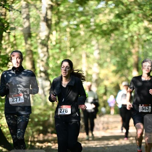 06.10.2024 - Bramfelder Halbmarathon 2024 Dr. Thomas Lammeyer http://msf.ph/oto/7339225 06.10.2024 10:31:20 Laufen 277, 276, 552 meine-sportfotos.de