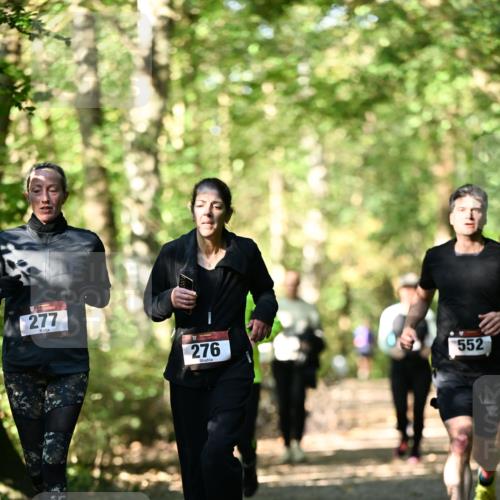 06.10.2024 - Bramfelder Halbmarathon 2024 Dr. Thomas Lammeyer http://msf.ph/oto/7339226 06.10.2024 10:31:21 Laufen 277, 276, 552 meine-sportfotos.de