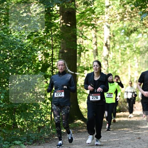 06.10.2024 - Bramfelder Halbmarathon 2024 Dr. Thomas Lammeyer http://msf.ph/oto/7339227 06.10.2024 10:31:22 Laufen 277, 276, 438 meine-sportfotos.de