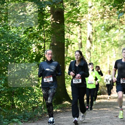 06.10.2024 - Bramfelder Halbmarathon 2024 Dr. Thomas Lammeyer http://msf.ph/oto/7339228 06.10.2024 10:31:22 Laufen 277, 276, 438, 55 meine-sportfotos.de